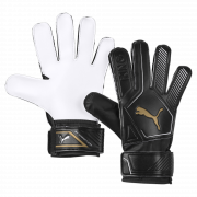 Puma Black-Gold-Puma White