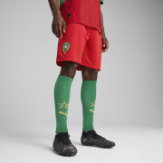 PUMA Red-Archive Green