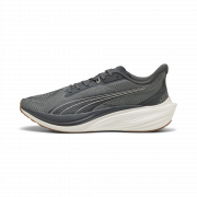 Gray Echo-Warm White